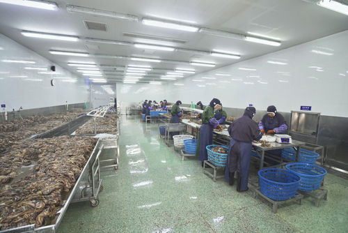 年后工廠招工難與農(nóng)民工就業(yè)困境 旅游業(yè)的啟示與出路